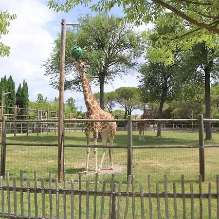 Апартаменты Casa Marina Линьяно-Саббьядоро